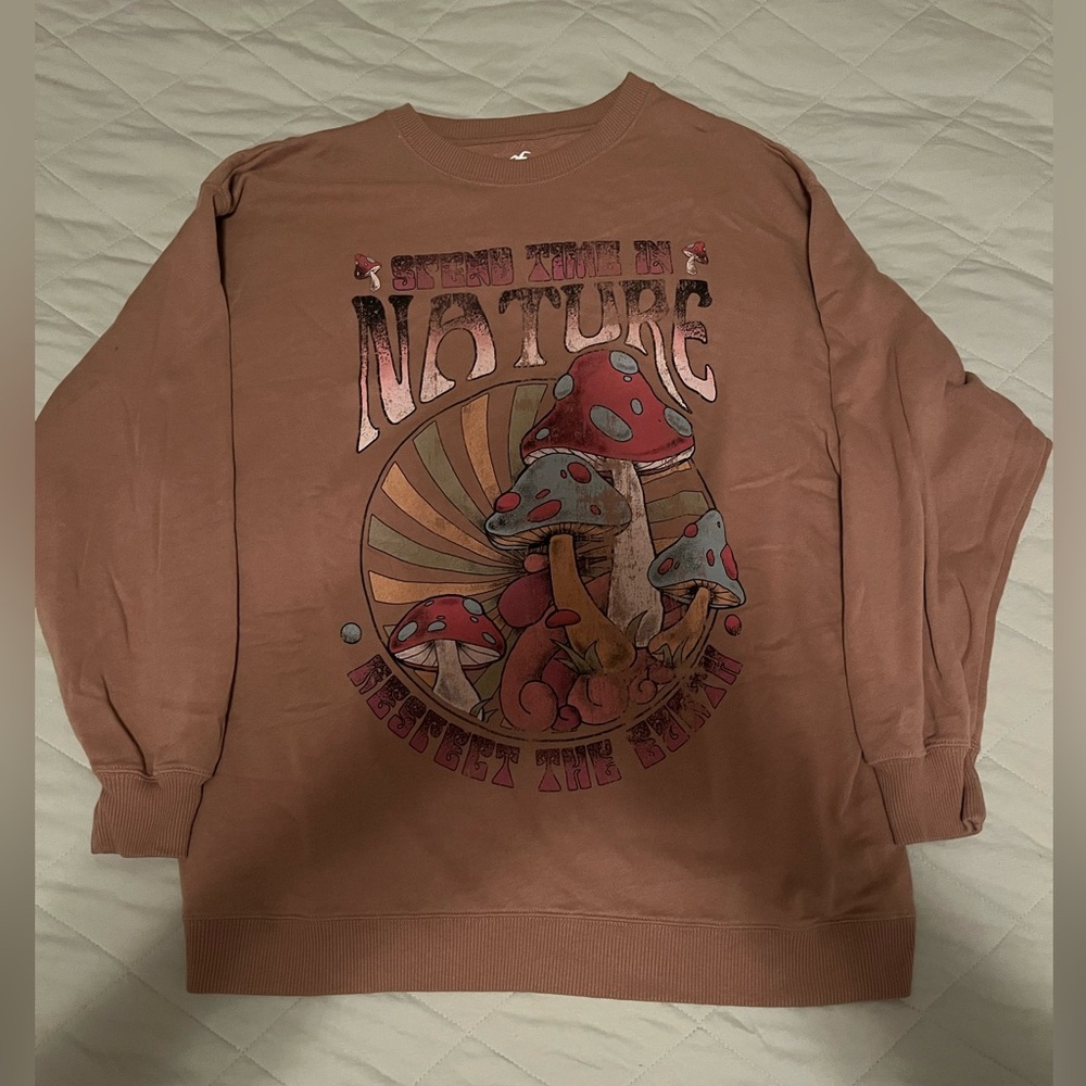 Hollister Brown Pullover